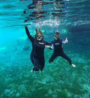 Dive into Crystal River's clear waters!